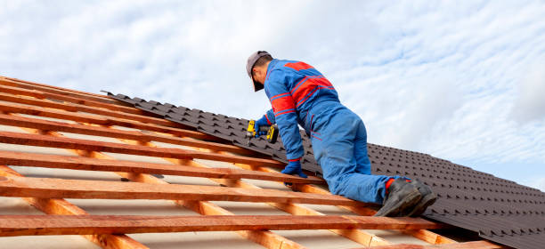 Best Metal Roofing Installation  in Three Oaks, FL