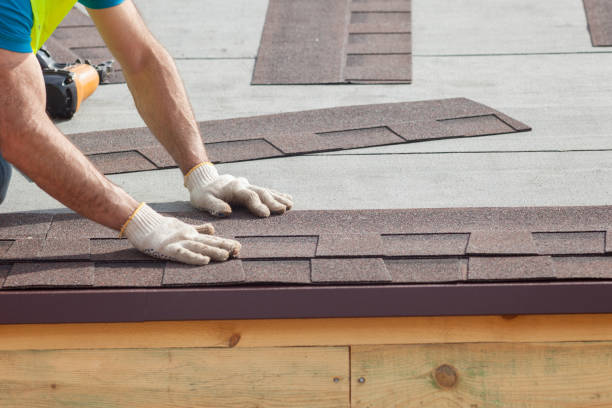 Best Roof Ventilation Installation  in Three Oaks, FL